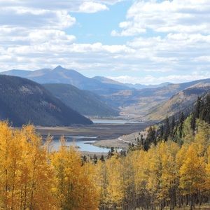 Meet your Posher, Willow